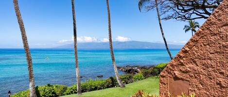 Halaman properti
