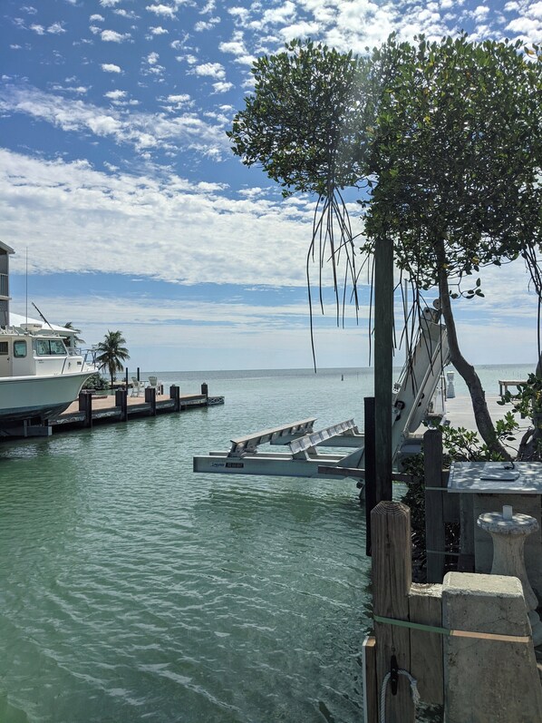 A marina with boats docked, a wooden pier, and a tree with hanging branches.