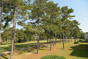 Condo, 1 Bedroom | Property grounds