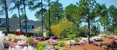 Villa, 2 Bedrooms | Property grounds