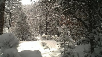 Cabin, 1 Bedroom | Property grounds