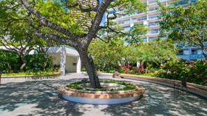 A landscaped courtyard with a central tree, surrounded by a circular planter. - Ilikai Tower 1113 - Fully furnished condo with free wifi by RedAwning (Honolulu)