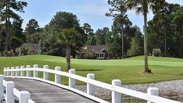 Condo, 1 Bedroom | Property grounds