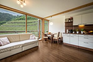 A modern kitchen with wooden cabinets, a dining area with a table and chairs, and a large window overlooking a vineyard.