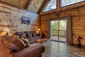 Télévision, cheminée, lecteur de DVD