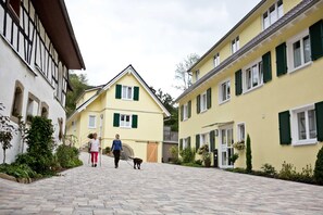 Exterior - Kiefer - Siegelsbacher Mühle (Siegelsbach)