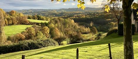A grassy field with a tree in the foreground and a distant view of rolling hills.
