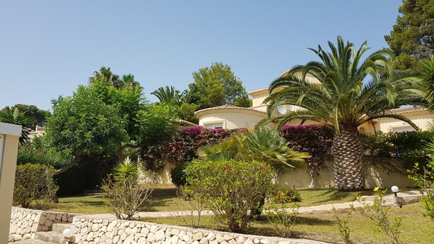 Ein Wohngebiet mit einem Haus, umgeben von üppiger Vegetation und Palmen.