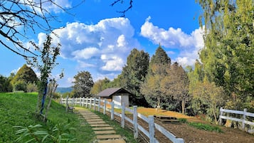 Room, 1 Bedroom, Patio, Garden View | Garden