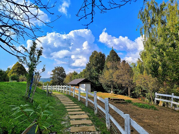 Zimmer, 1 Schlafzimmer, Terrasse, Gartenblick | Garten