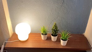 A wooden shelf with three potted plants and a glowing light fixture. - Domus Lido - 3 Bedrooms, 5 Persons, Wifi, Parking, air Conditioning (Comacchio)