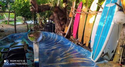 Room-method Living Tropical Edition 5002