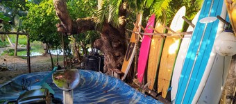 Room-method Living Tropical Edition 5002