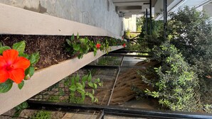 Un étroit couloir extérieur doté d’un sol en béton, d’une rambarde métallique et agrémenté de diverses plantes et fleurs.