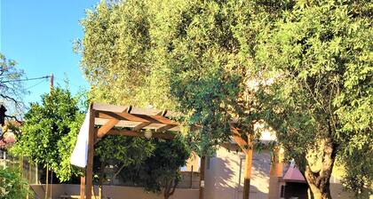 Room in Studio - Room for 2 People in Limenaria, Only Five Minutes Away From Center