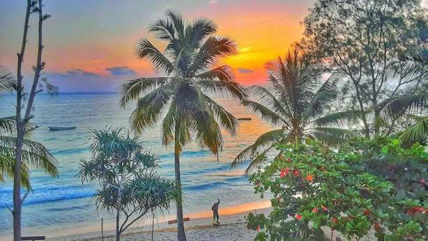 Room, 1 Bedroom, Patio, Ocean View | Property grounds
