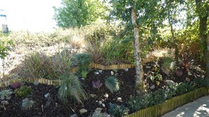 Bungalow, 3 camere da letto, patio | Giardino