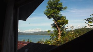 A view from inside a building, looking out at a tree and a body of water. - Triple Room With sea and Mountain Views Perfecto for Couples (Drake Bay)
