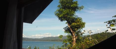 Shared Dormitory, 1 Bedroom, Terrace | View from property