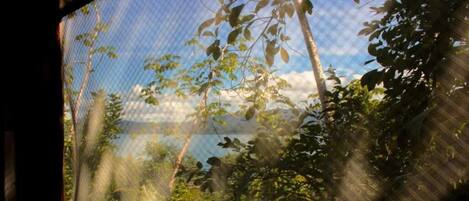 Room, 1 Bedroom, Terrace | View from property