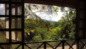 A room with a view of a lush, green landscape through a window with a wooden frame and mesh screen. - Bungalow Casa Bosque, With Balcony and sea View (Drake Bay)