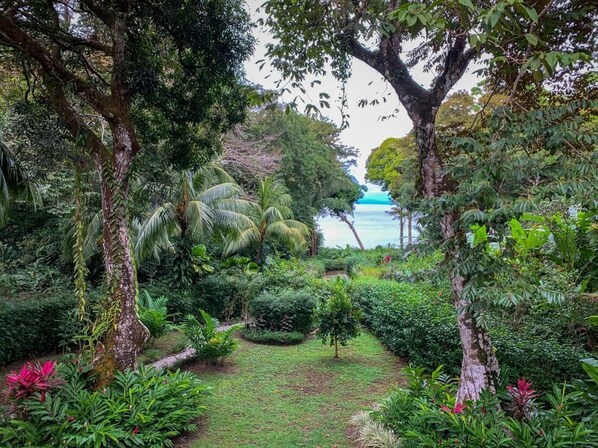Property grounds - El Tumbo de las Olas (Puerto Jiménez)