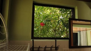 A window with a view of green foliage and a red flower, a metal rack with hooks, and a mirror on the wall.