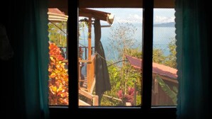 Vista a través de una ventana con estructura de madera y plantas afuera.