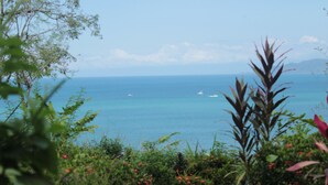 Vista costera con cielo despejado, barcos en el agua y exuberante vegetación en primer plano.