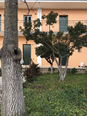 Habitación, 1 habitación, para fumadores, alberca privada | Detalle exterior