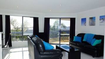 TV, DVD player, video library