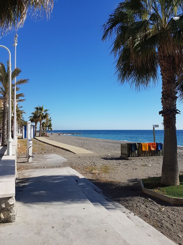 A beachside walkway with palm trees, a clear blue sky, and a view of the ocean.