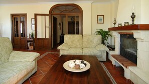 Cheminée, lecteur de DVD