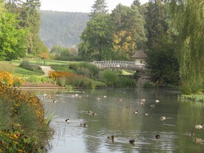 Image sans description, 4 de 57, bouton