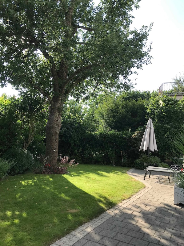 Un jardín con un árbol grande, un camino empedrado y un patio con sombrilla.