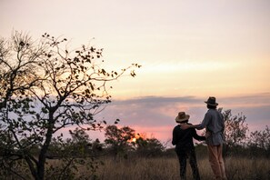 Exterior - Simbavati Amani (Bushbuckridge)