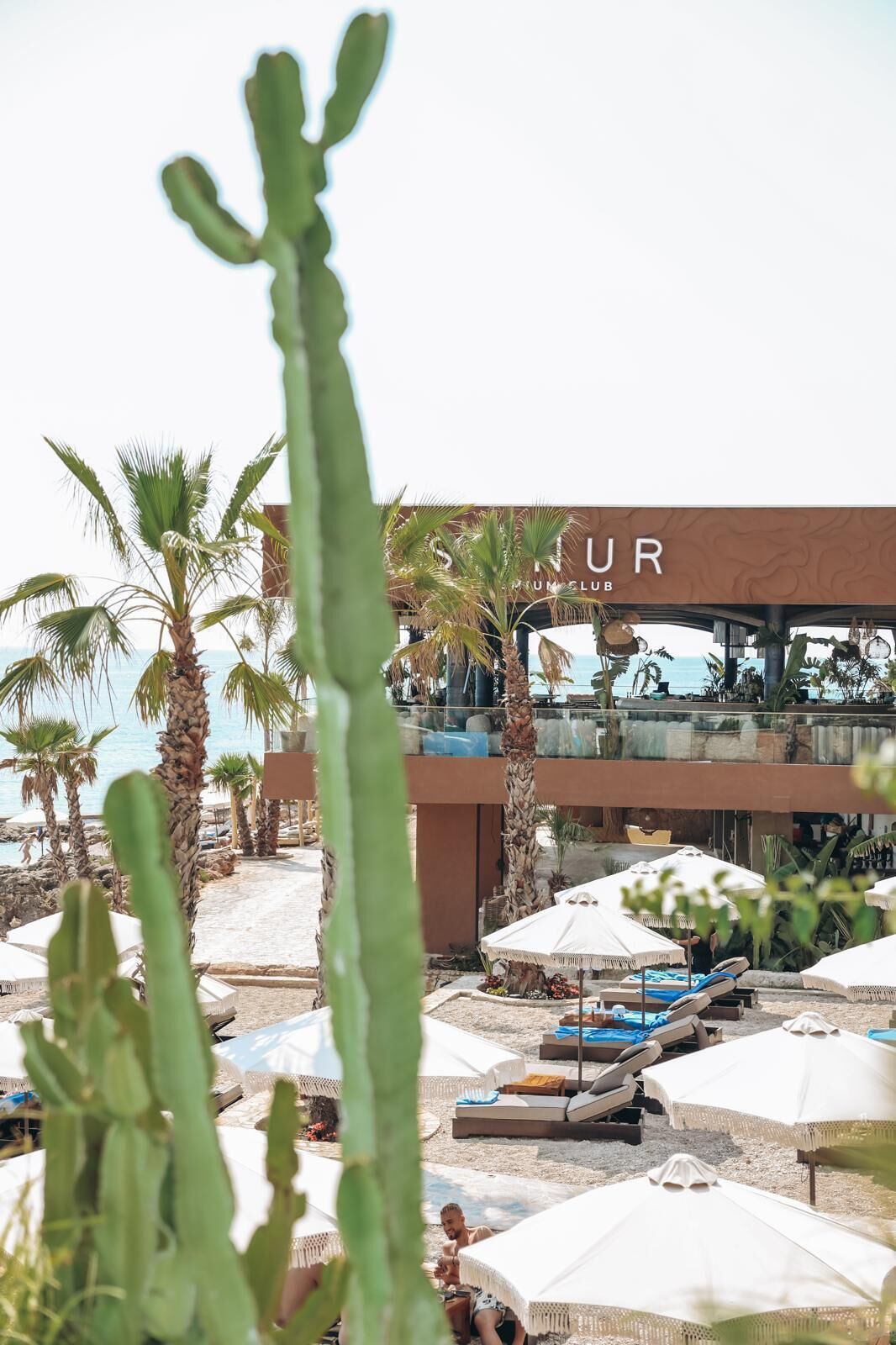 Un resort con posti a sedere all'aperto e palme.
