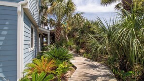 A wooden pathway flanked by lush tropical plants leading to a house with blue siding.
