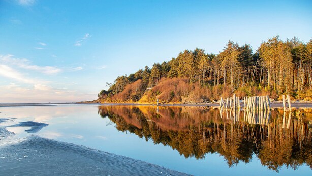 Un lac paisible, bordé d’une forêt, dont l’eau reflète clairement le paysage.