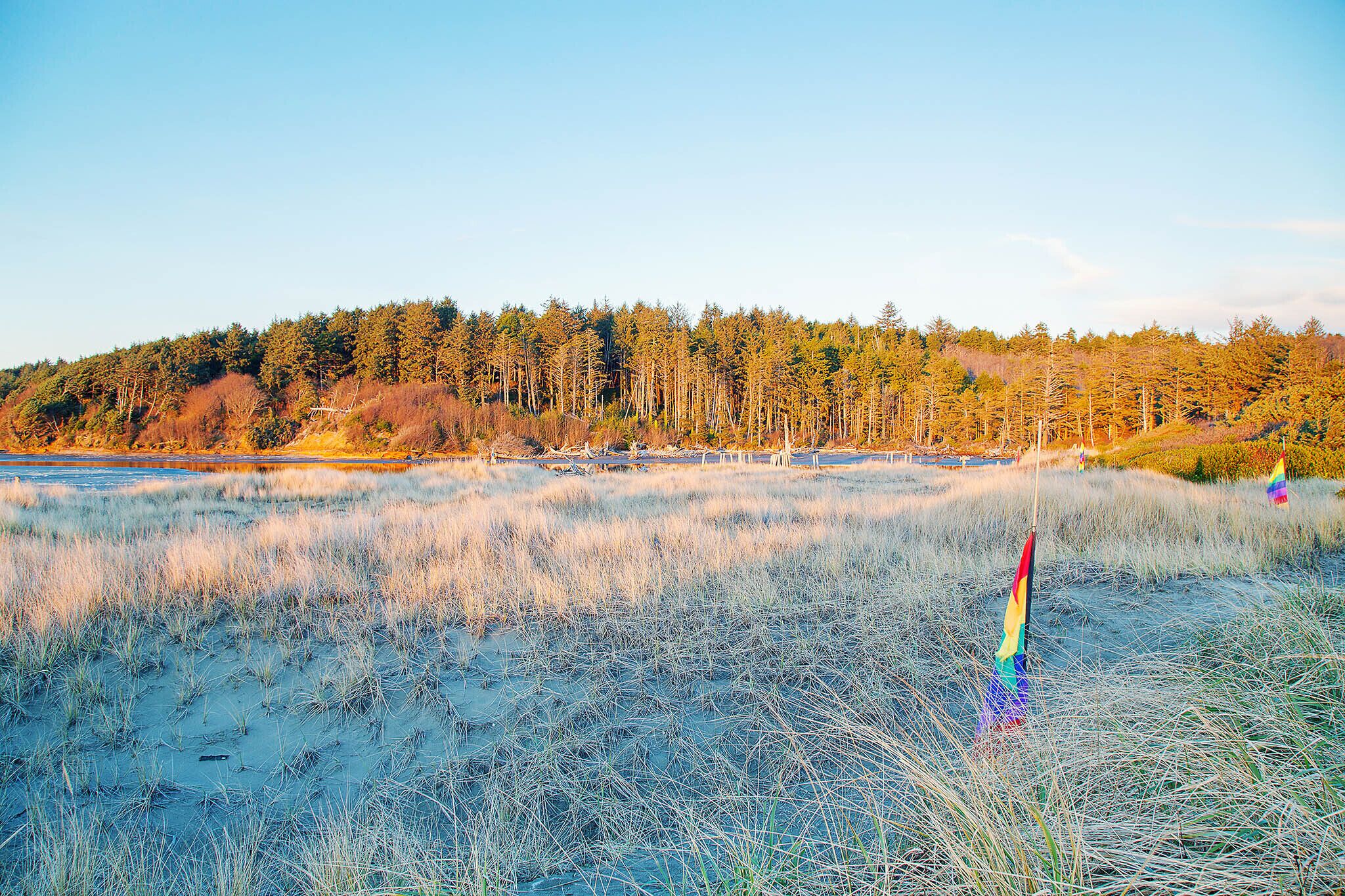 Ett naturligt landskap med en gräsklädd äng och en skog i bakgrunden.