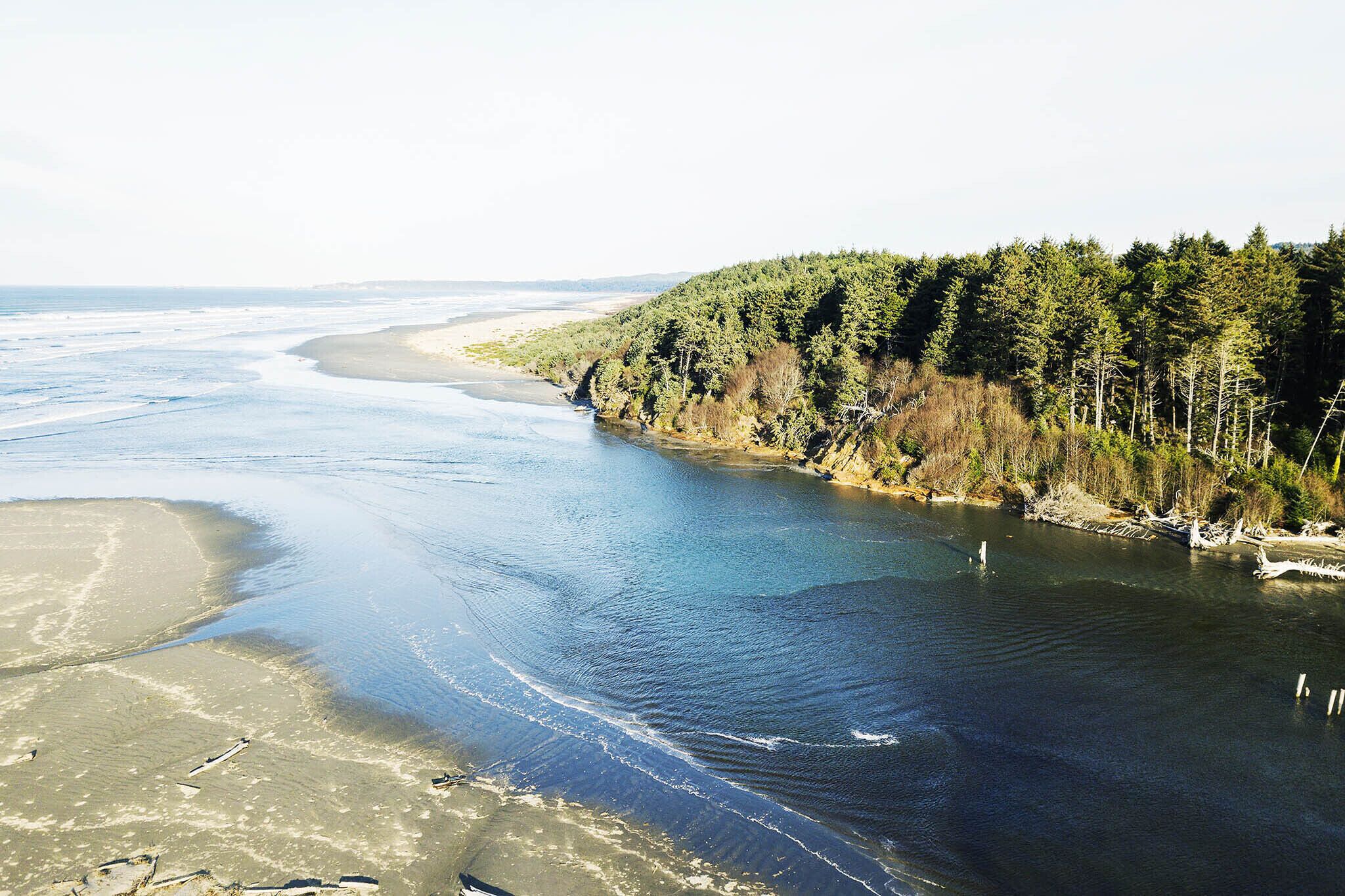 Un río que serpentea por una zona boscosa con una playa de arena en una orilla.