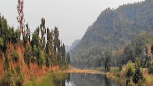 Un lago tranquilo que refleja árboles y colinas.