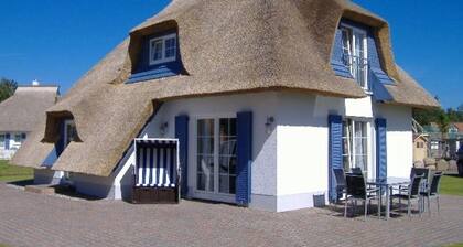 Modernes Reetdachhaus direkt am Strand von Usedom!