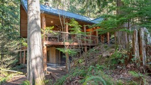 A wooden cabin with a metal roof, surrounded by dense forest. - Third night free on stays before 9/8/26 (Rhododendron)