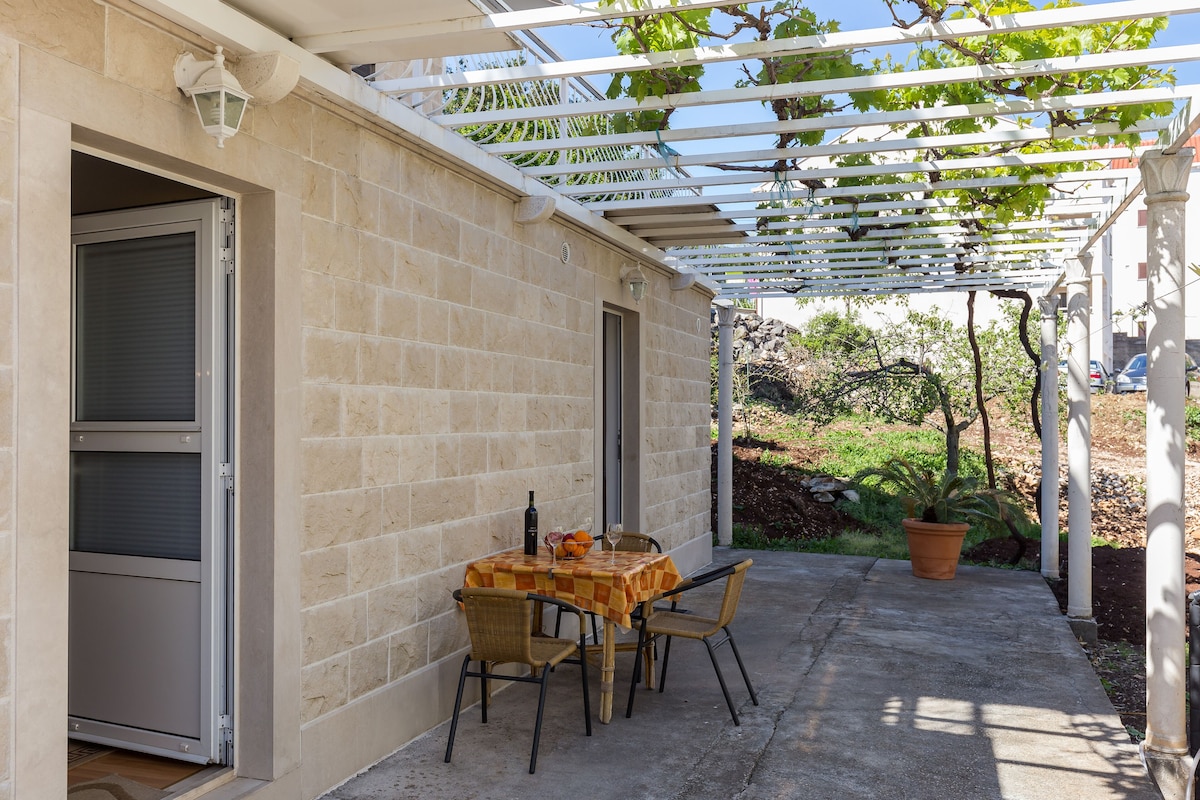 A patio with a table and chairs, a potted plant, and a pergola with vines.