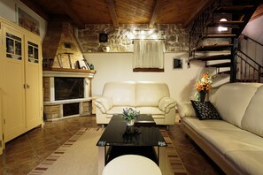 TV - Traditional Istrian stone villa with private pool (Vrsar)