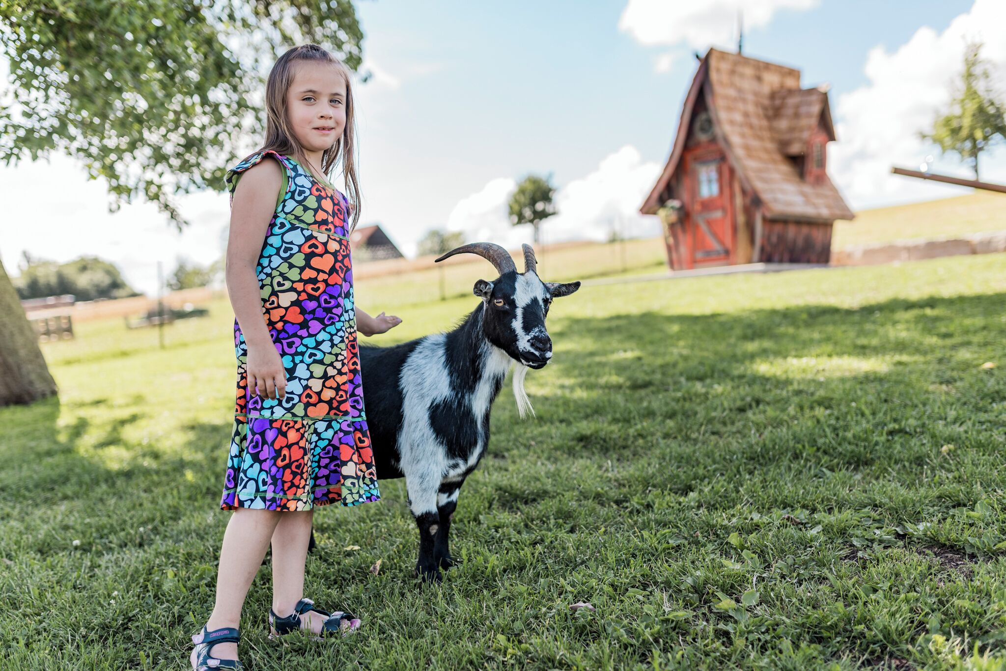 A child in a colorful dress standing on grass with a goat in a rural setting, featuring a red building in the background.