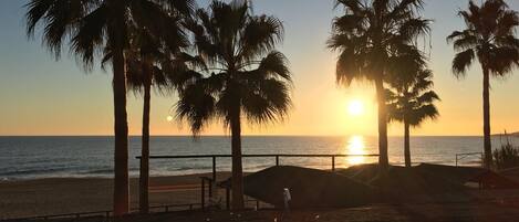 A la platja i tovalloles de platja