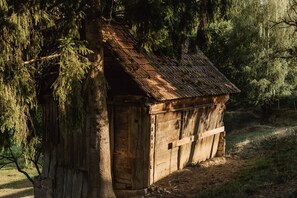 A rustic wooden cabin with a sloped roof, surrounded by dense trees.