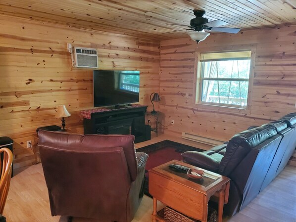 Smart TV, DVD player, video library, stereo